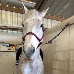 Meet your Posher, Genevieve